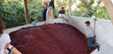 Coffees Traceable to the Farm & Producer